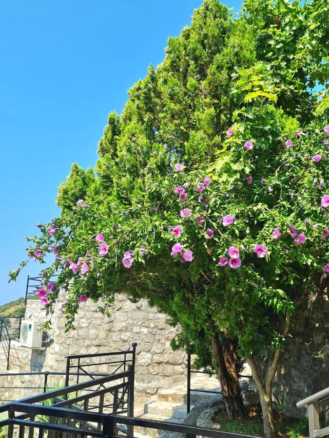 Villa Nera Budva Zewnętrze zdjęcie
