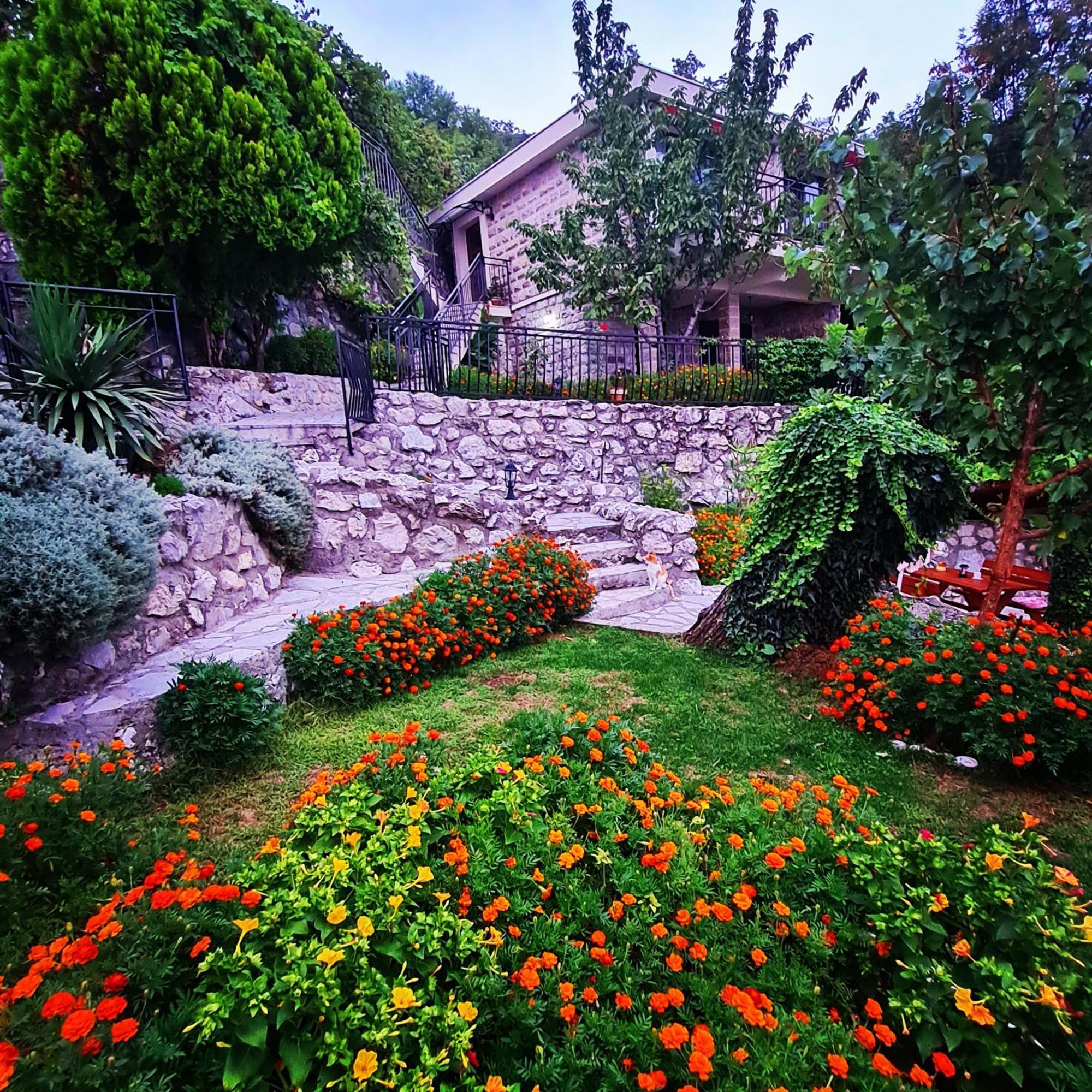 Villa Nera Budva Zewnętrze zdjęcie